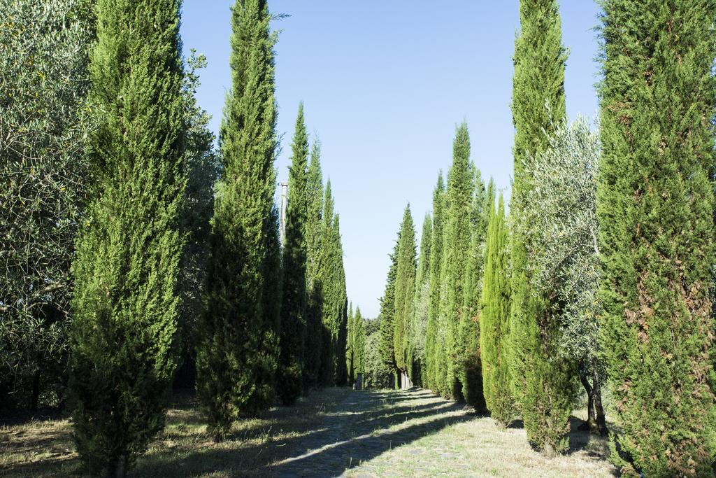 فندق Casale Degli Ulivi رابولانو تيرمي المظهر الخارجي الصورة